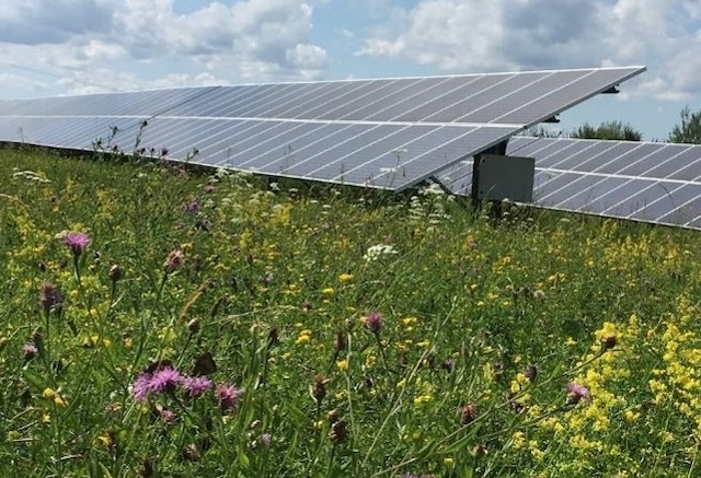 Installation photovoltaïque au sol